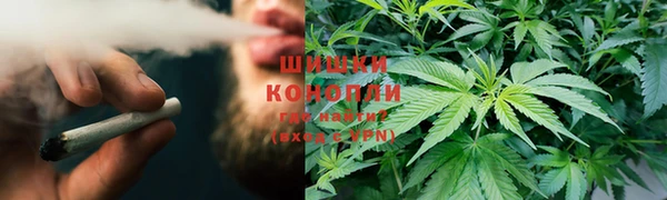 индика Абинск