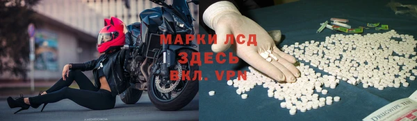 индика Абинск