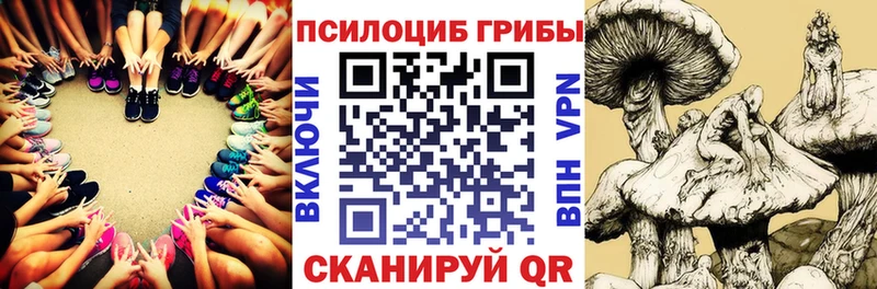 Галлюциногенные грибы Magic Shrooms  Мещовск 
